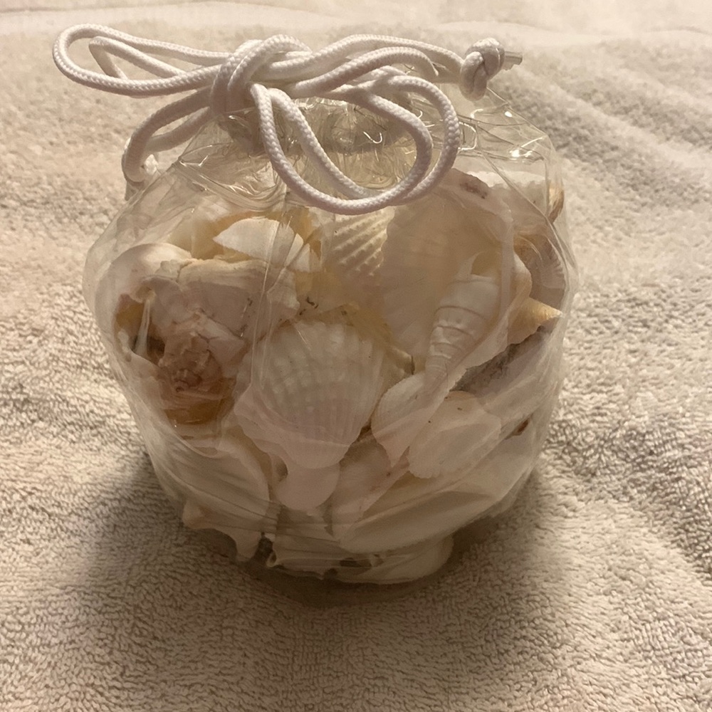 NWT BAG OF MIXED SEASHELLS, 25 count